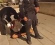 "בעטו בו בראש כשהוא על הרצפה": האירוע המטורף שהסתיים בבית החולים (וידאו)