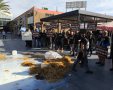 דוברות תנועת המושבים
