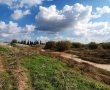 חורף דרומי: המקומות המומלצים לטיול בדרום בינואר – בלי לשלם שקל