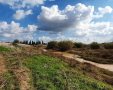 נחל שקמה - צילום אלדה נתנאל