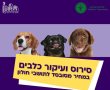 מבצע סבסוד לעיקור וסירוס כלבים בחולון יוצא לדרך – מספר המקומות מוגבל